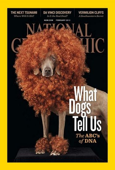 National Geographic, February 2012